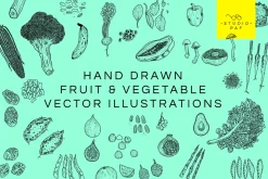 Fruit & Veg - Hand Drawn Vectors