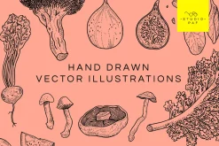 Fruit & Veg - Hand Drawn Vectors