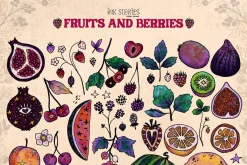 Fruits and Berries | Hand Drawn Boho