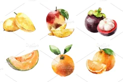 Fruits Hand Drawn Watercolor Set
