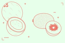 Fruits Vector Illustration