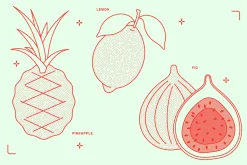 Fruits Vector Illustration