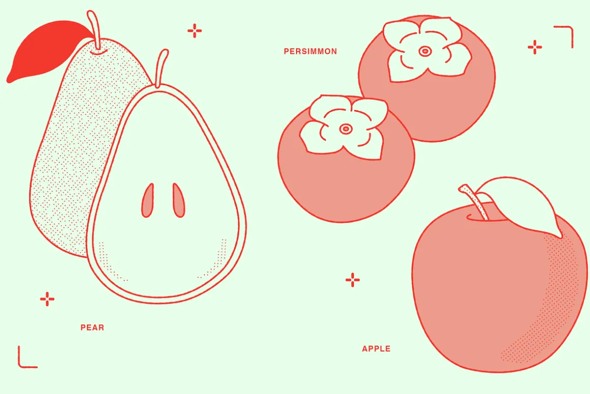 Fruits Vector Illustration
