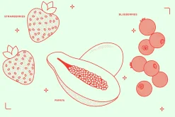 Fruits Vector Illustration