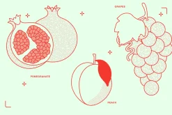 Fruits Vector Illustration