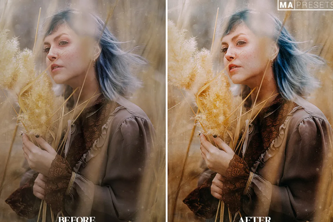 10 FUJI FILM Lightroom Presets