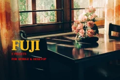 FUJI PRESETS | LR Mobile & Desktop