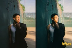 FUJI PRESETS | LR Mobile & Desktop