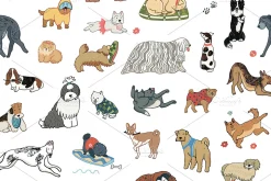 Funny Dogs