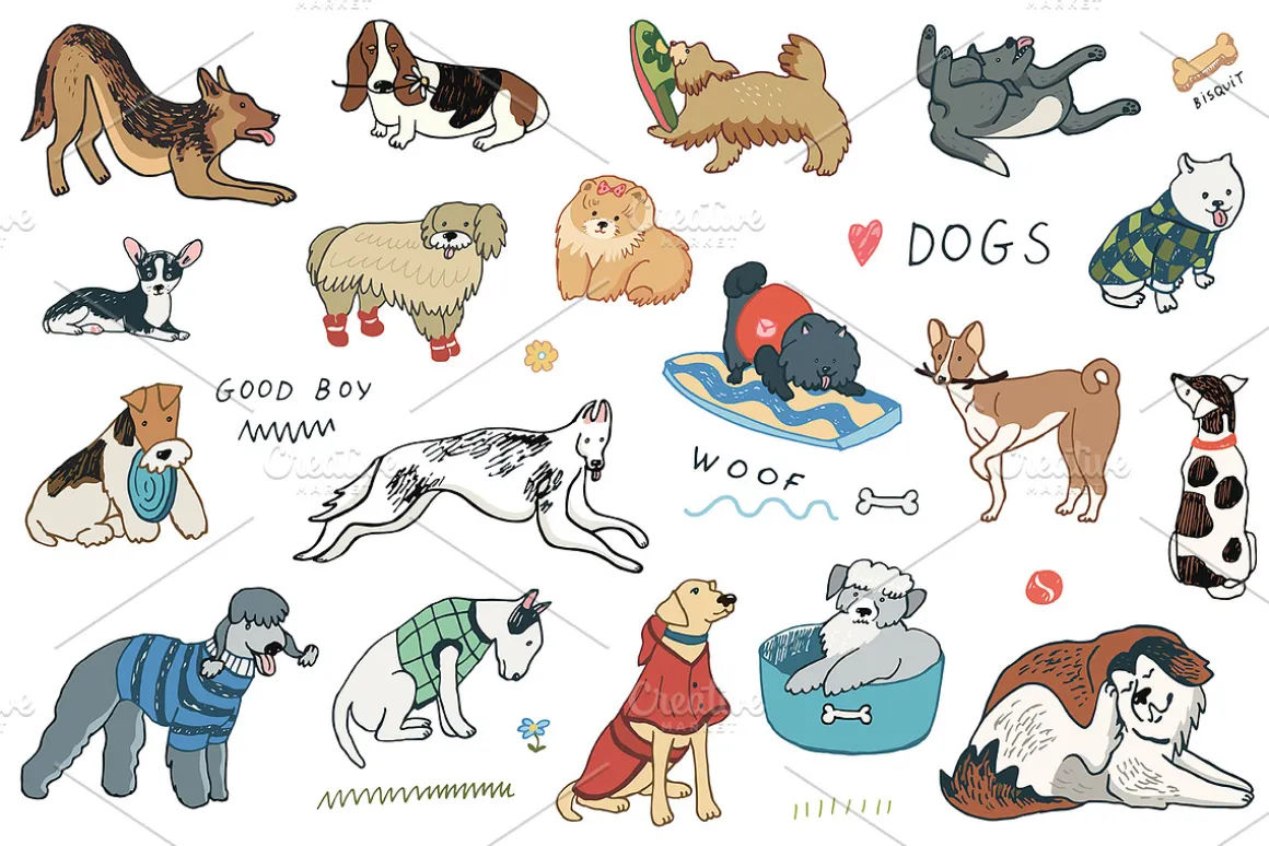 Funny Dogs