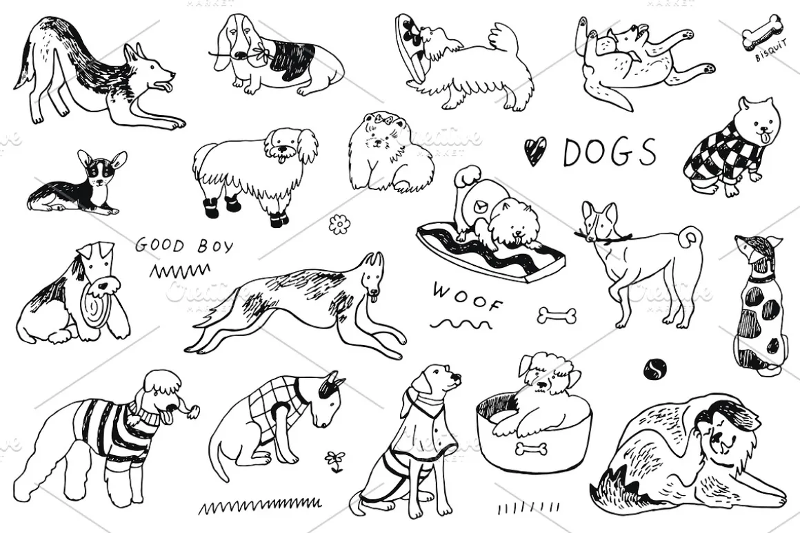 Funny Dogs