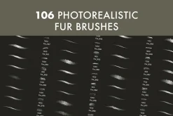 Fur 2 Brush Set