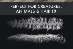 Fur 3 Brush Set