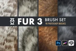 Fur 3 Brush Set