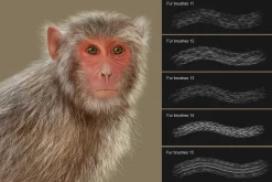 Fur Photoshop Brushes v2