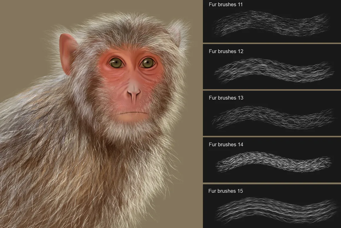 Fur Photoshop Brushes v2