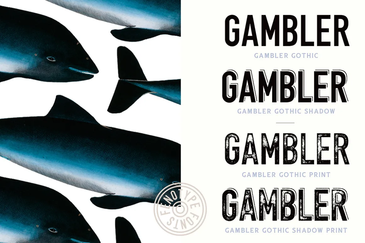 Gambler Type Collection