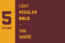 Gameday