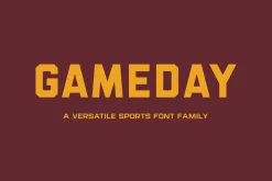 Gameday