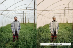 20 Garden Mood Lightroom Presets LUT