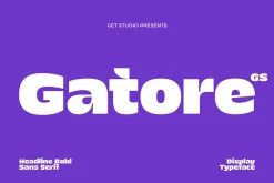 Gatore - Bold Display
