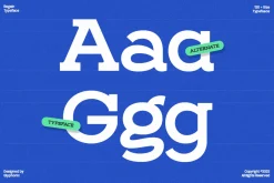 GC Regain - Display Bold Slab Serif