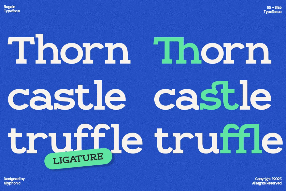 GC Regain - Display Bold Slab Serif