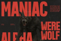 GC Vank - Strong Bold Condensed