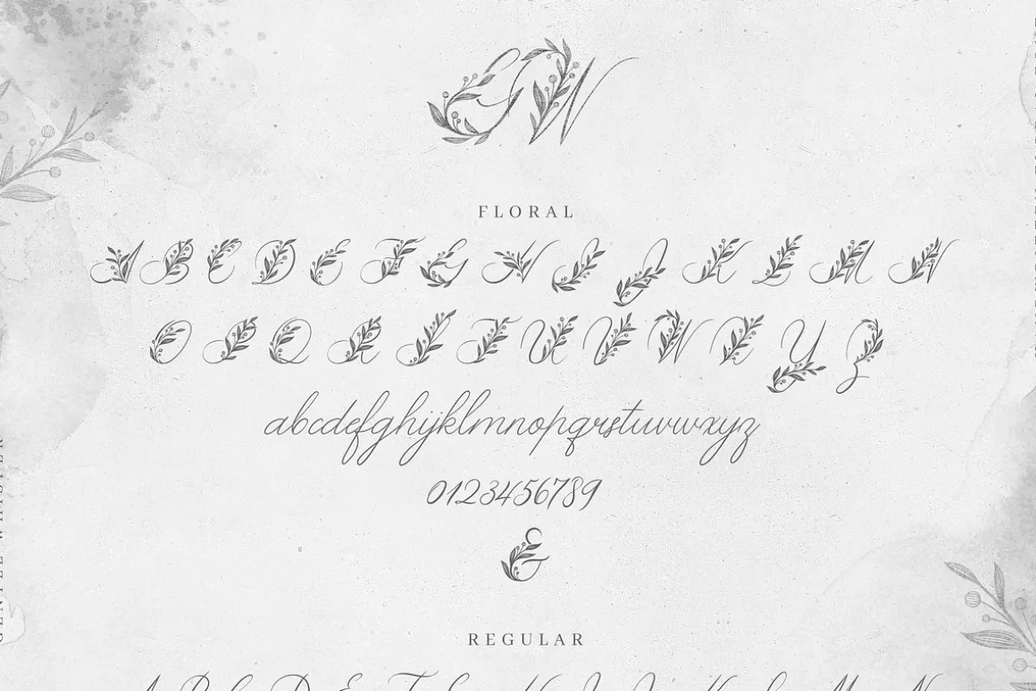 Gentle Whisper. Wedding Floral Font
