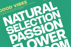 Gesty Ratio Modern Display Font