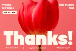 Ghifiuk - Bold Display Font
