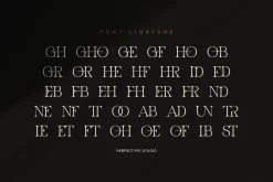 Ghond Modern Elegant Serif Font