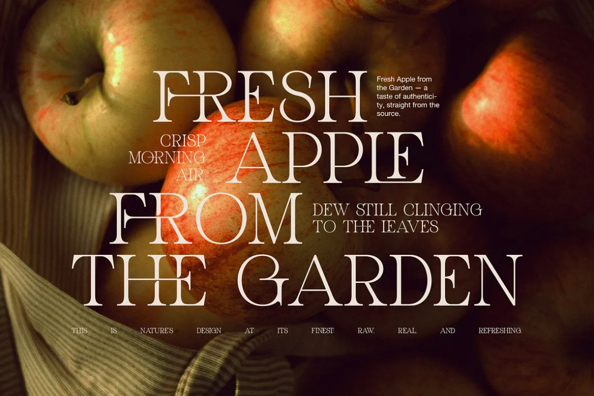 Ghond Modern Elegant Serif Font
