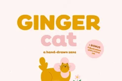 Ginger cat | Hand-drawn sans