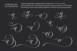 Glamour - Elengant Script