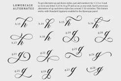 Glamour - Elengant Script