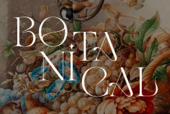 GLAMY - Ligature Rich Serif
