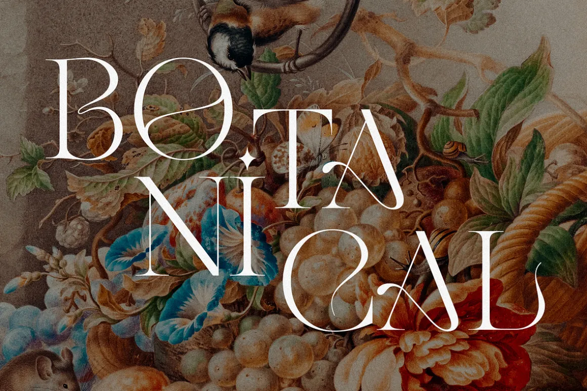 GLAMY - Ligature Rich Serif
