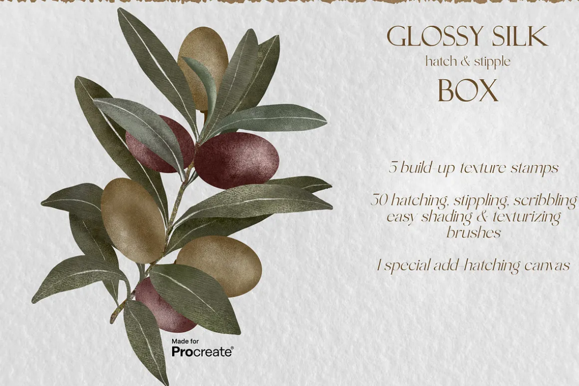 Glossy Silk Box for Procreate