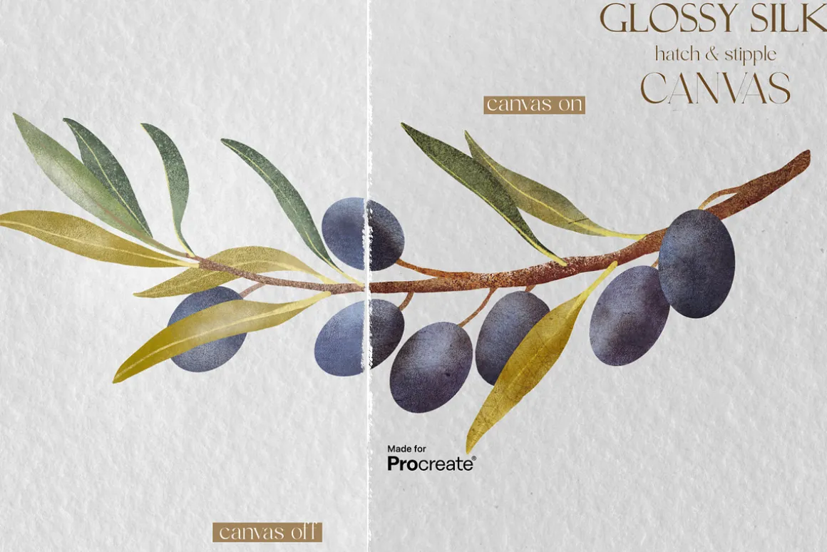 Glossy Silk Box for Procreate