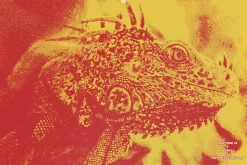 Goblin Printer - Halftone Effects