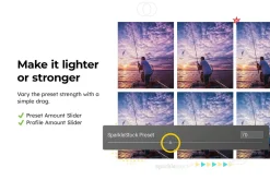 Golden Glow Lightroom Presets & LUTs