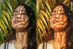Golden Glow Lightroom Presets & LUTs