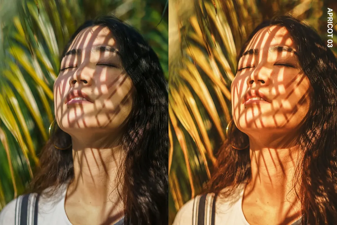 Golden Glow Lightroom Presets & LUTs