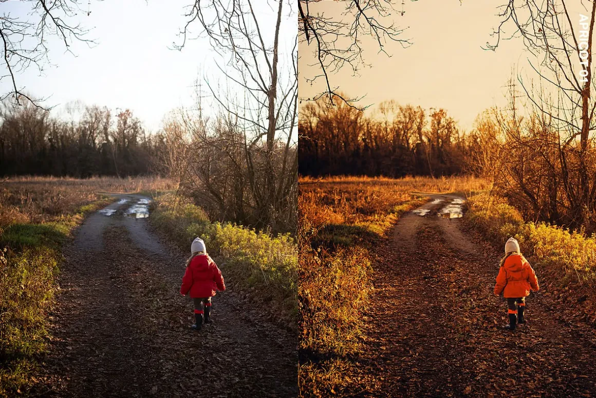 Golden Glow Lightroom Presets & LUTs