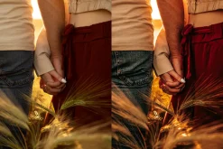 15 Golden Hour Lightroom Presets