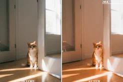 10 GOLDEN HOUR Lightroom Presets