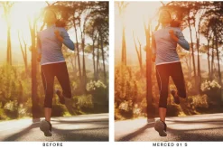 20 Golden Hour Lightroom Presets