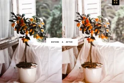 4 Golden Lightroom Presets Bundle