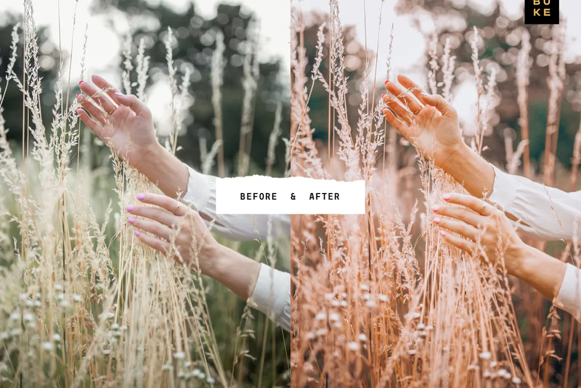 4 Golden Lightroom Presets Bundle